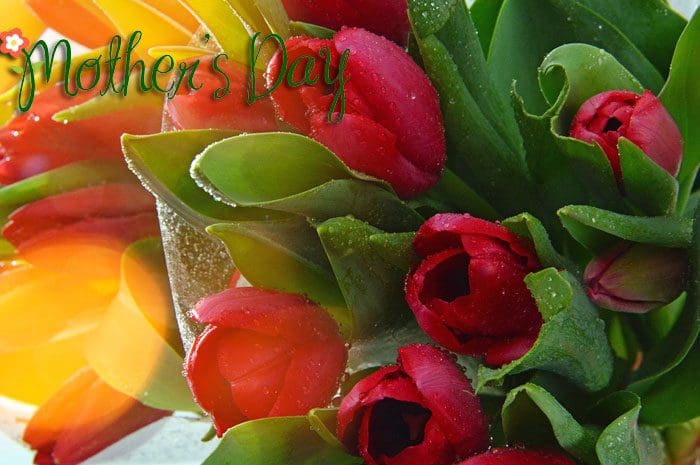 Bonitas tarjetas con dedicatorias de amor para el Día de la Madre