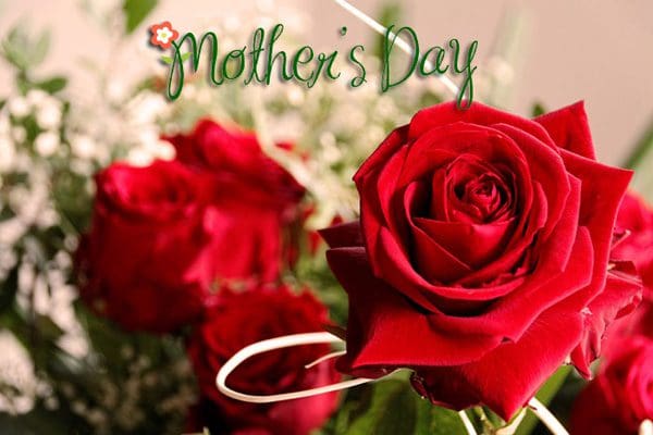 lindas dedicatorias par para el Día de la Madre.#SaludosParaElDíaDeLaMadre